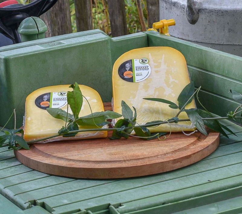 Graafstroom kaas JONG 48+ 